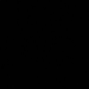 Meet your Posher, Anitra